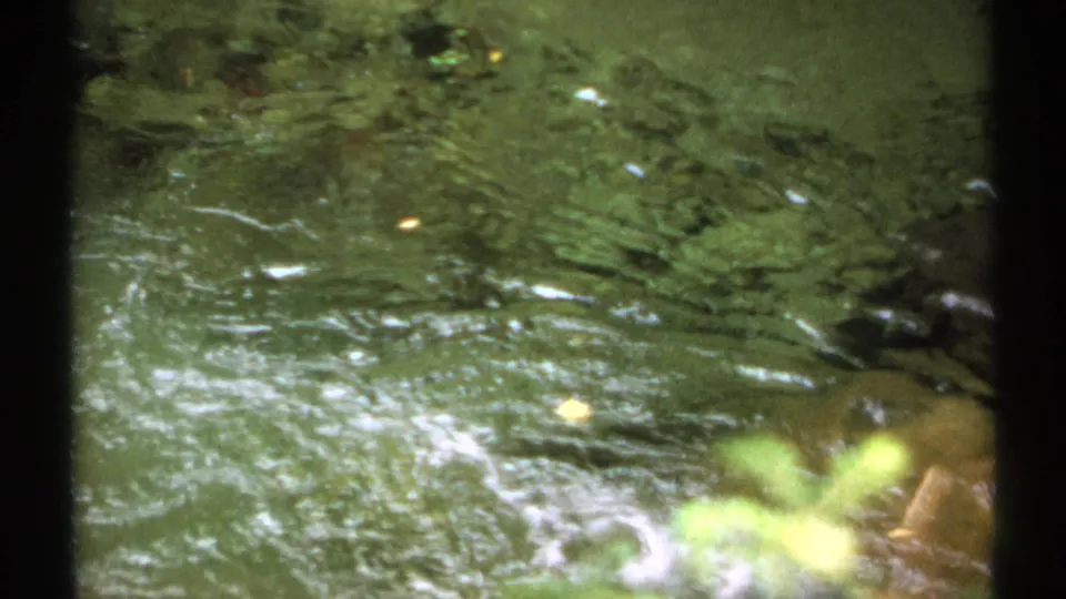 1971 New Hampshire 8mm frame of transparent moving water over a rocky bed with foliage reflections.