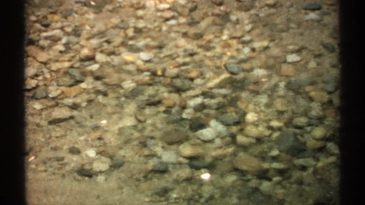 Clear shallow water over rounded creek pebbles and stones.