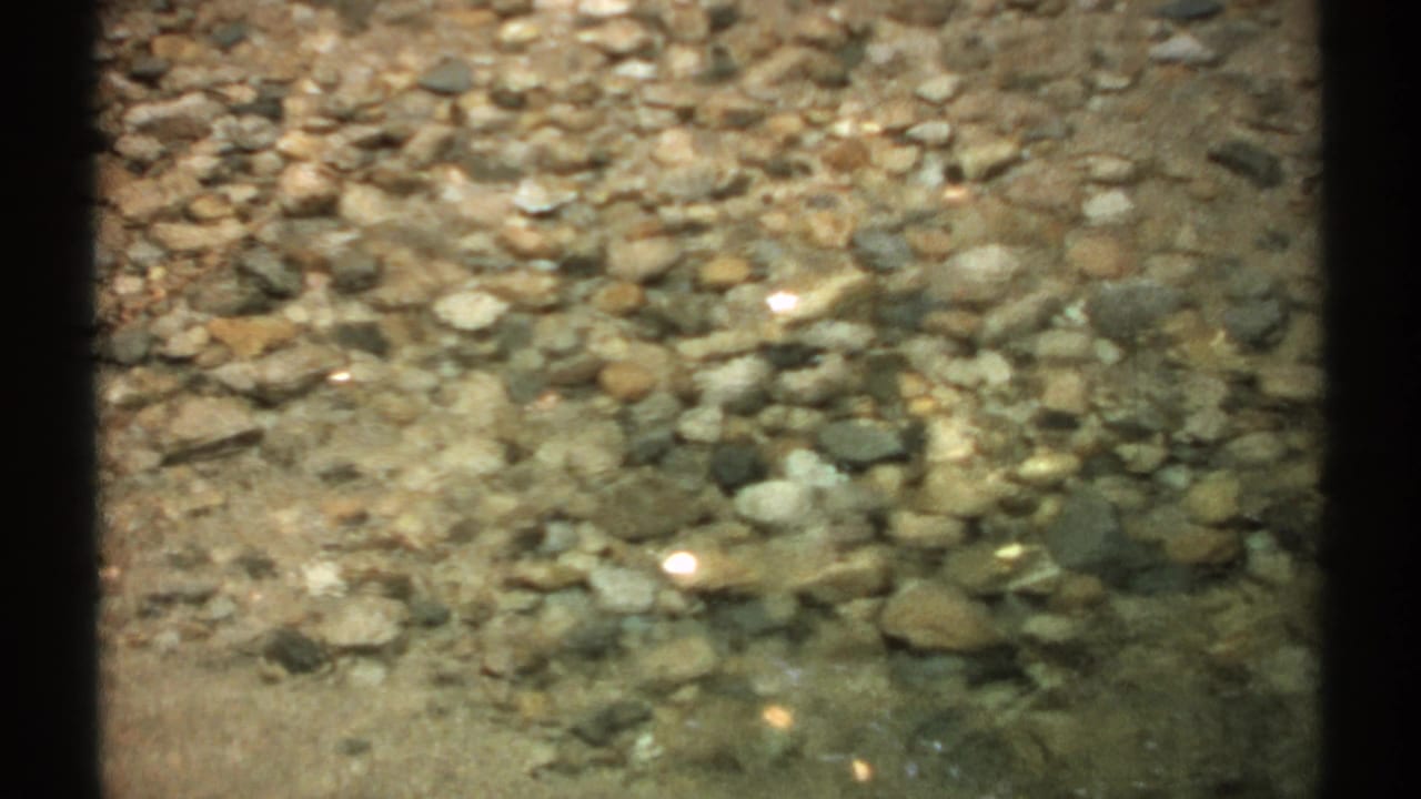 Pebbles and stones seen through rippling creek water.