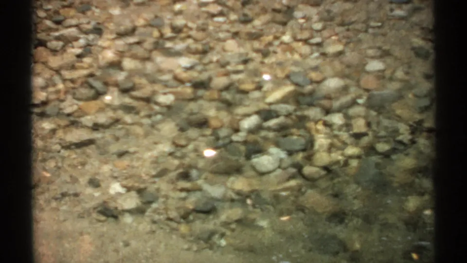 Warm 8mm view of New Hampshire creek stones beneath clear shallow water, with subtle shimmer and film grain.