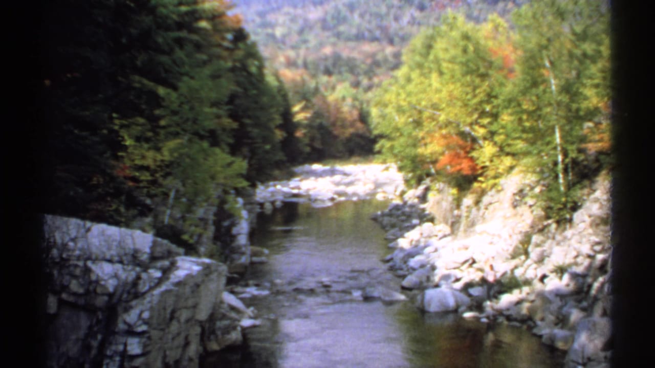 Calm creek running between rocky banks and trees in a forested gorge.
