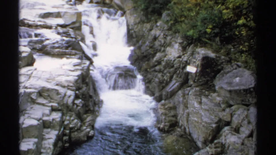 White Mountain National Forest waterfall with rushing white water, rock walls, trees, and a small posted sign visible beside the falls.