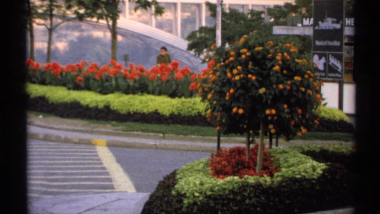 Landscaped roundabout with red flowers, small tree, crosswalk markings, and pedestrians in the background.