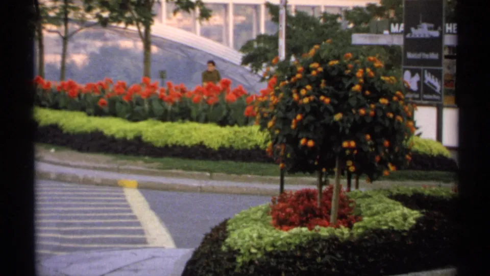 1971 New York 8mm frame showing flower beds, a small ornamental tree, a striped crossing, and distant pedestrians near a glass-fronted building.