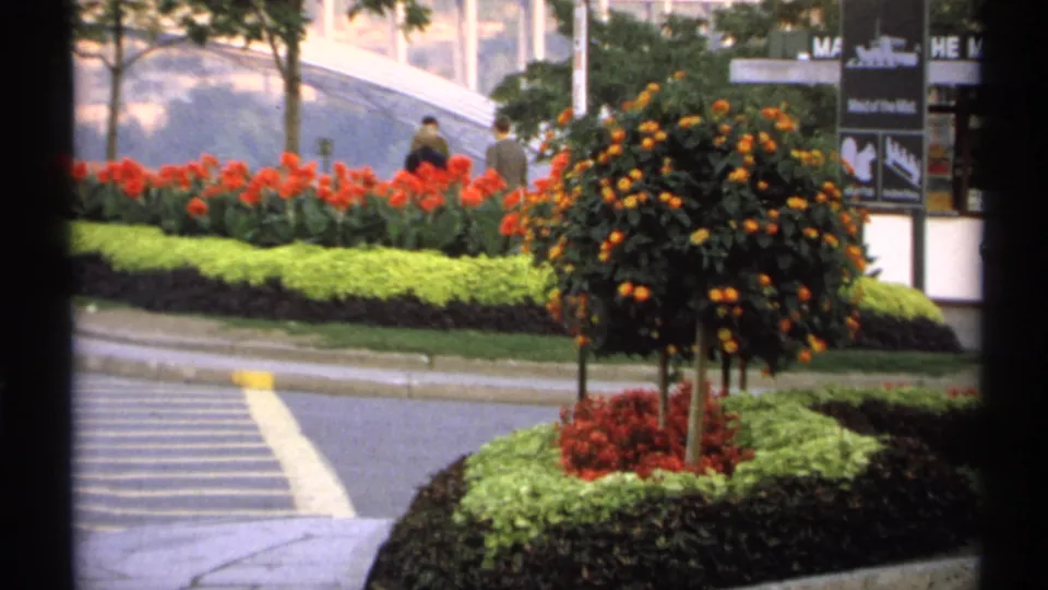 1971 New York street view with bright plantings, a central ornamental tree, pedestrians, and partial public signage near a curved glass facade.