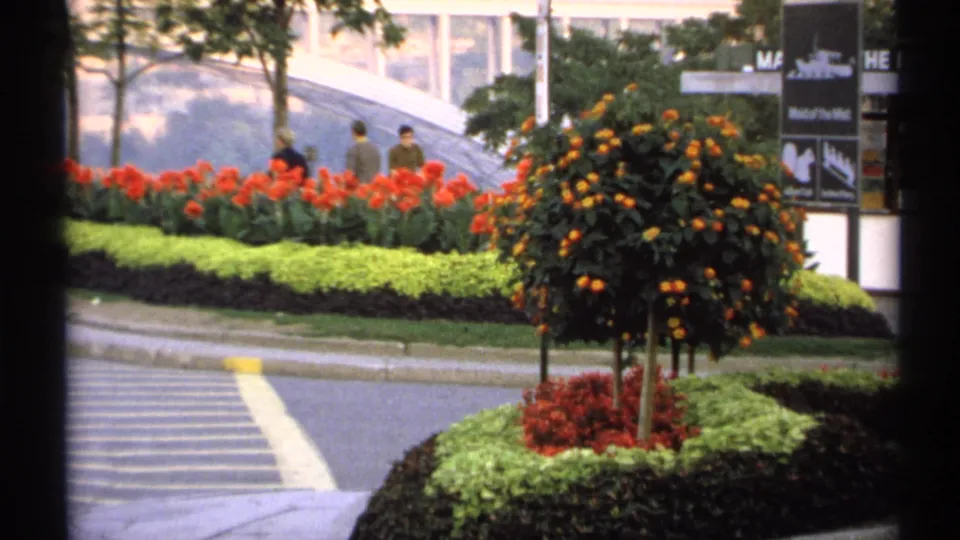 1971 New York 8mm view of maintained planting beds, a small tree, pedestrians, crosswalk markings, and museum-related signage in the background.