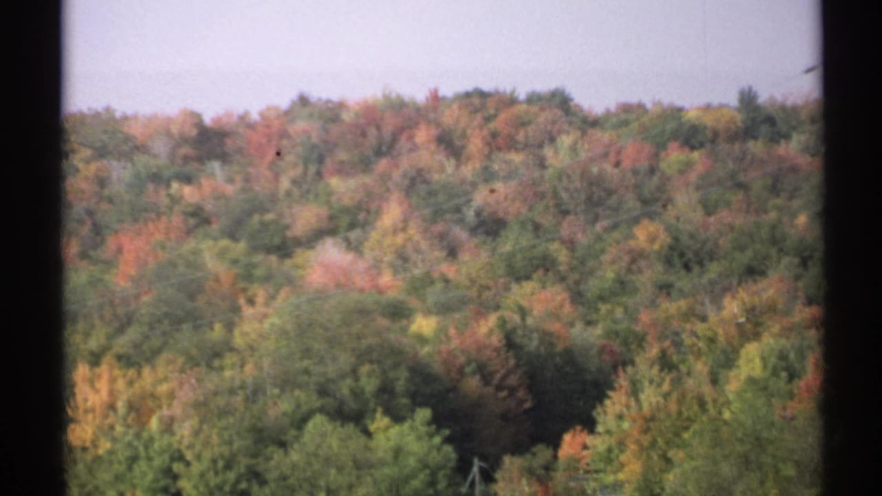 Autumn wooded hillside seen behind dark vertical frame bars.