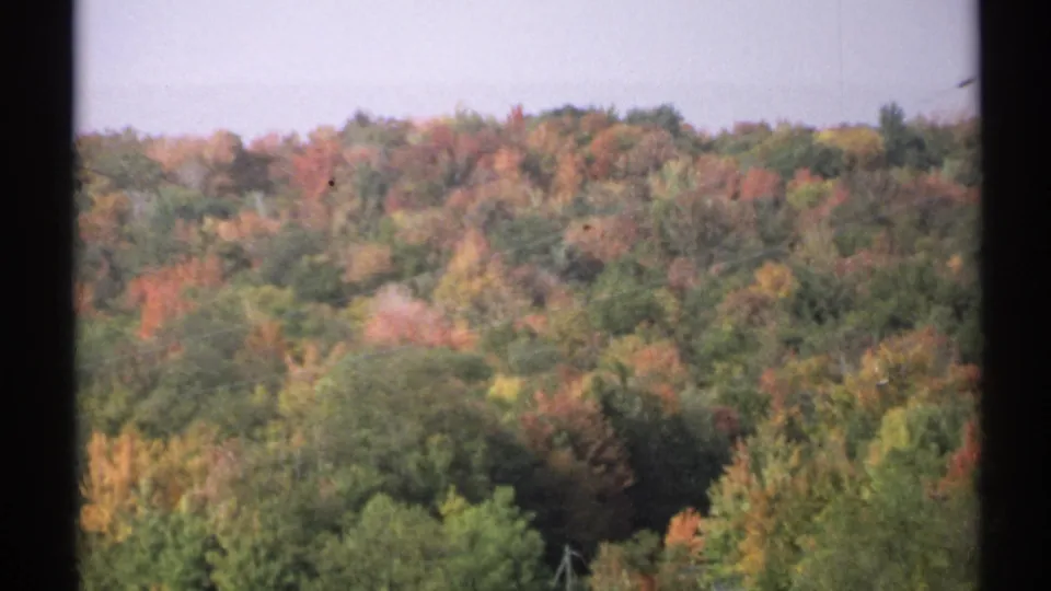 1971 New York 8mm view of a wooded hillside with fall colors, pale sky, and dark vertical window or film-frame bars.