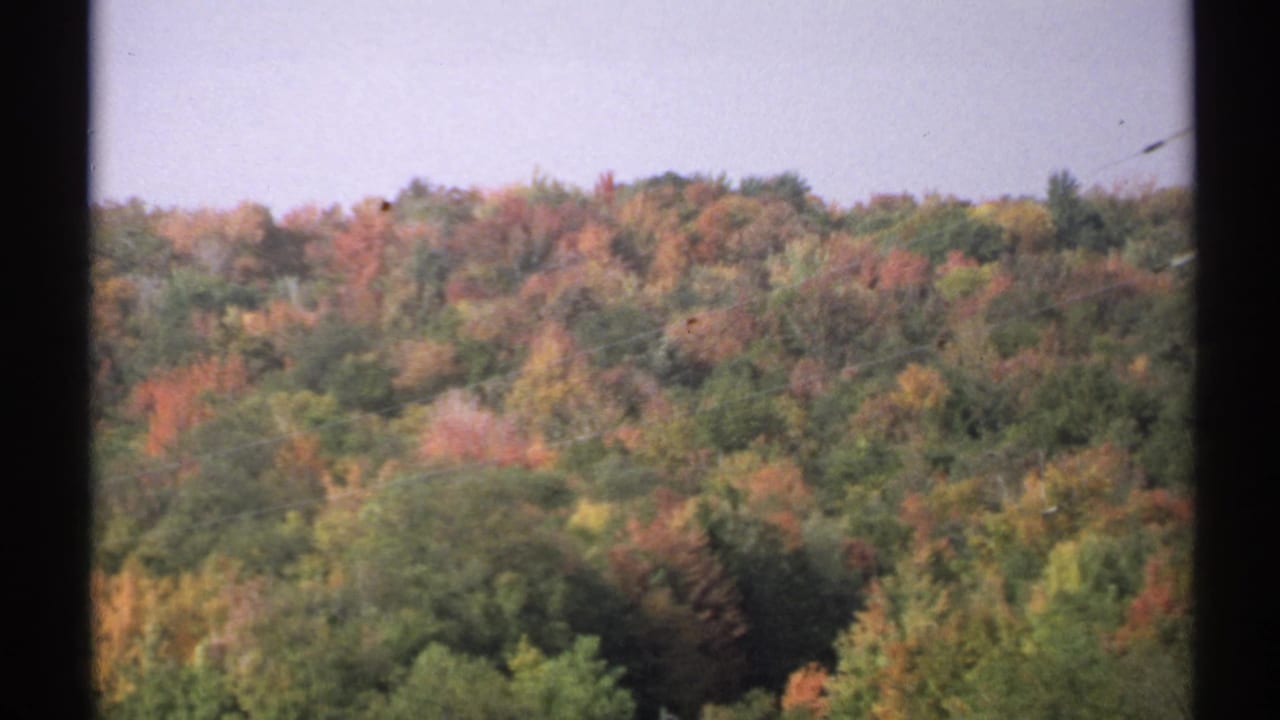 Rolling forest canopy with fall colors and dark frame borders.