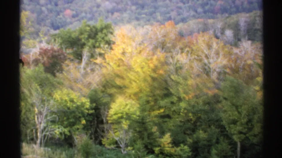 1971 New York 8mm frame with slightly blurred yellow, orange, and green treetops on a wooded hillside.