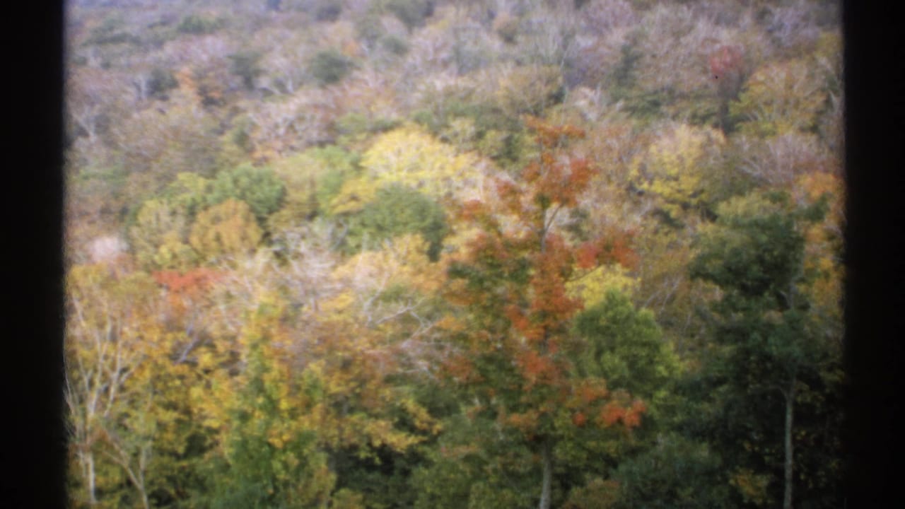 1971 New York home-movie view of colorful autumn treetops with soft focus and dark film-frame edges.