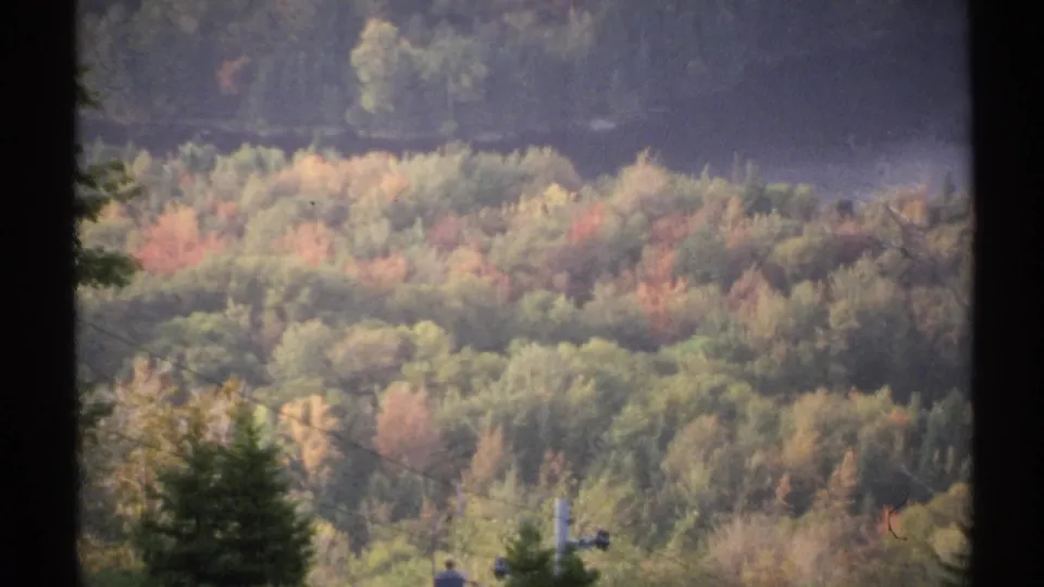 1971 New York 8mm frame shifting from the lake view to mixed autumn trees on a forested hillside.