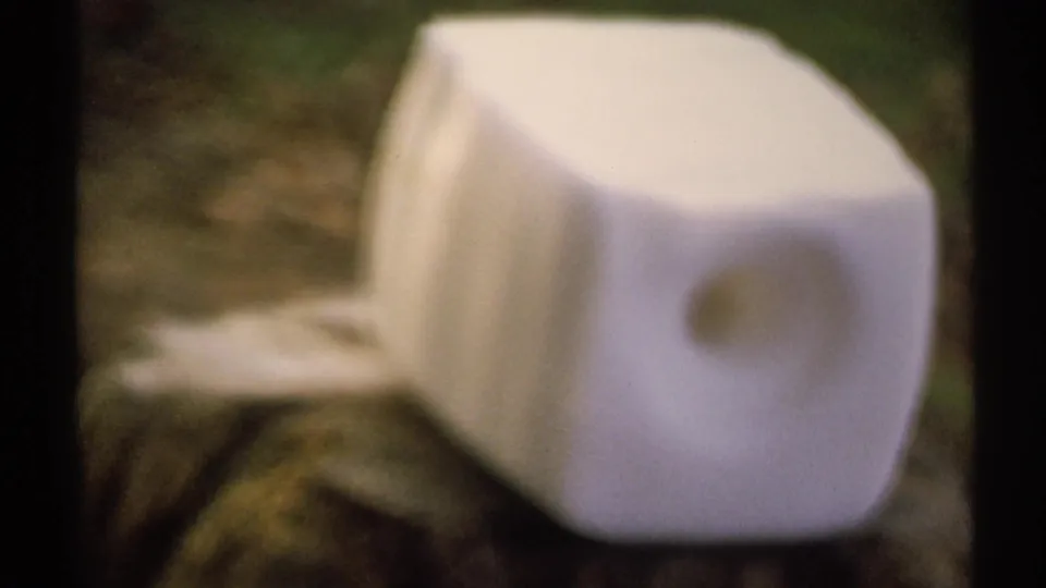 1971 8mm New York home-movie frame with a soft, out-of-focus pale leaf or object near dark forest edges.