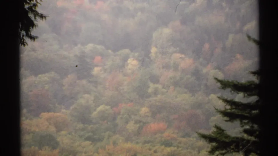 Wide 1971 New York 8mm view of a hazy forest canopy with muted autumn colors and dark evergreen edges.