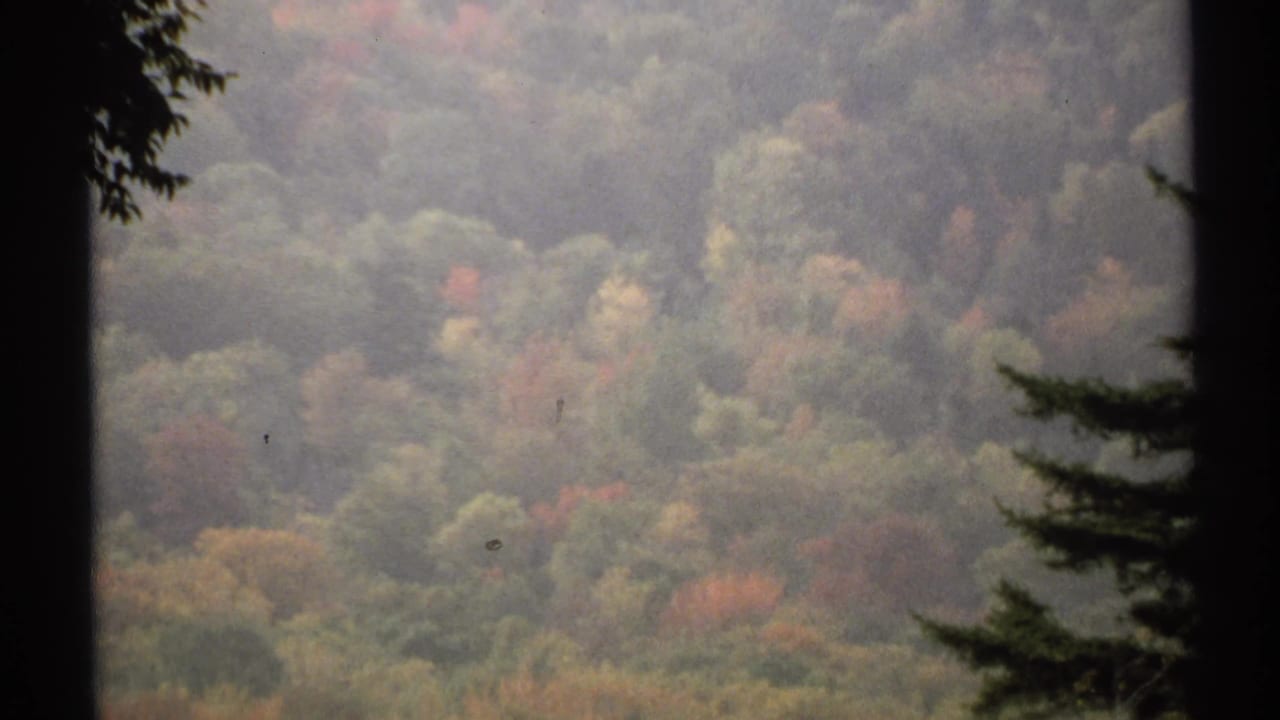 1971 New York 8mm view of a hazy wooded hillside with early fall color, framed by dark tree trunks or window-like edges.