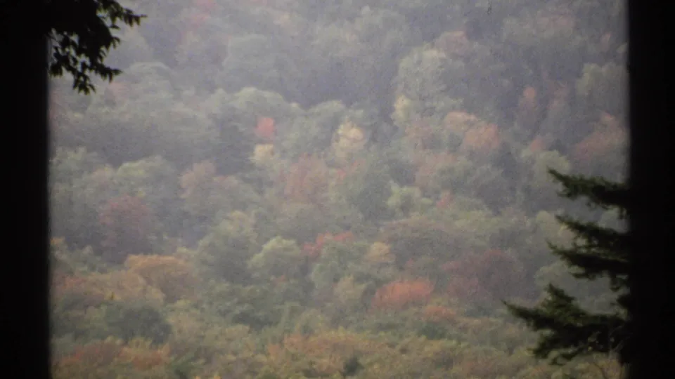 1971 New York home-movie frame showing a misty forest canopy with green, yellow, and red autumn tones behind dark foreground trees.