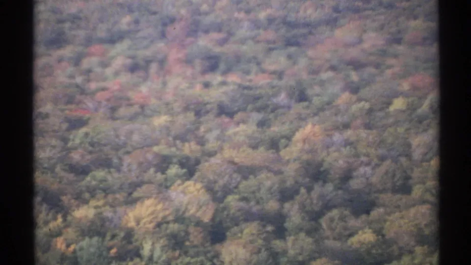 1971 New York 8mm frame showing a soft elevated view over dense autumn tree canopy with mixed fall colors.