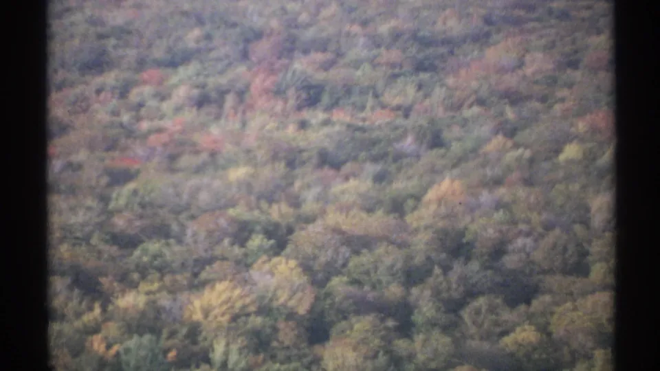 1971 New York home-movie frame of autumn forest canopy seen from above or across a high overlook, with soft color and grain.