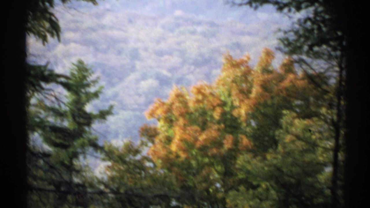 Autumn trees and wooded hills seen through dark foreground trunks.