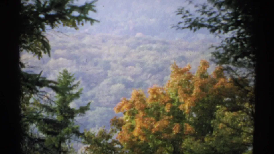 Soft 8mm view of multicolored fall trees and a distant wooded slope, likely in New York based on clip metadata.