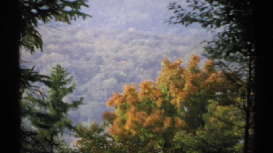 Home-movie frame showing autumn foliage in orange and green, with a hazy wooded hillside in the background.