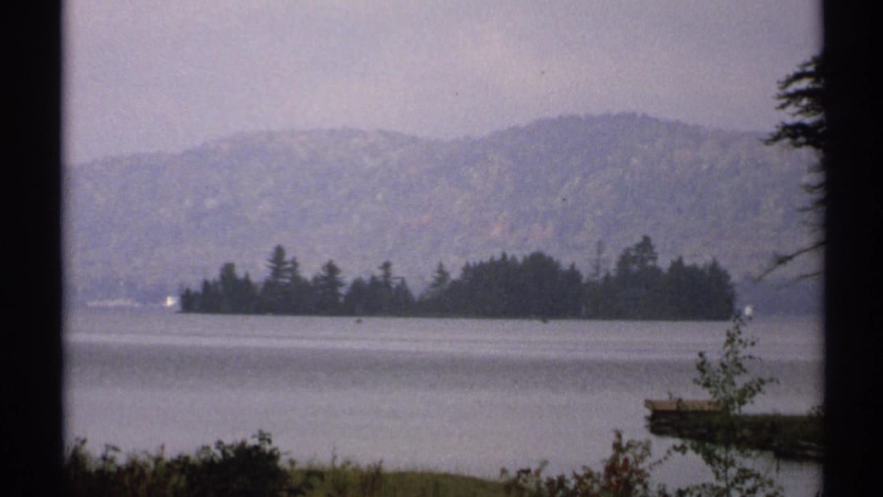 Lake view with forested island, distant hills, shoreline brush, and dark frame edge.