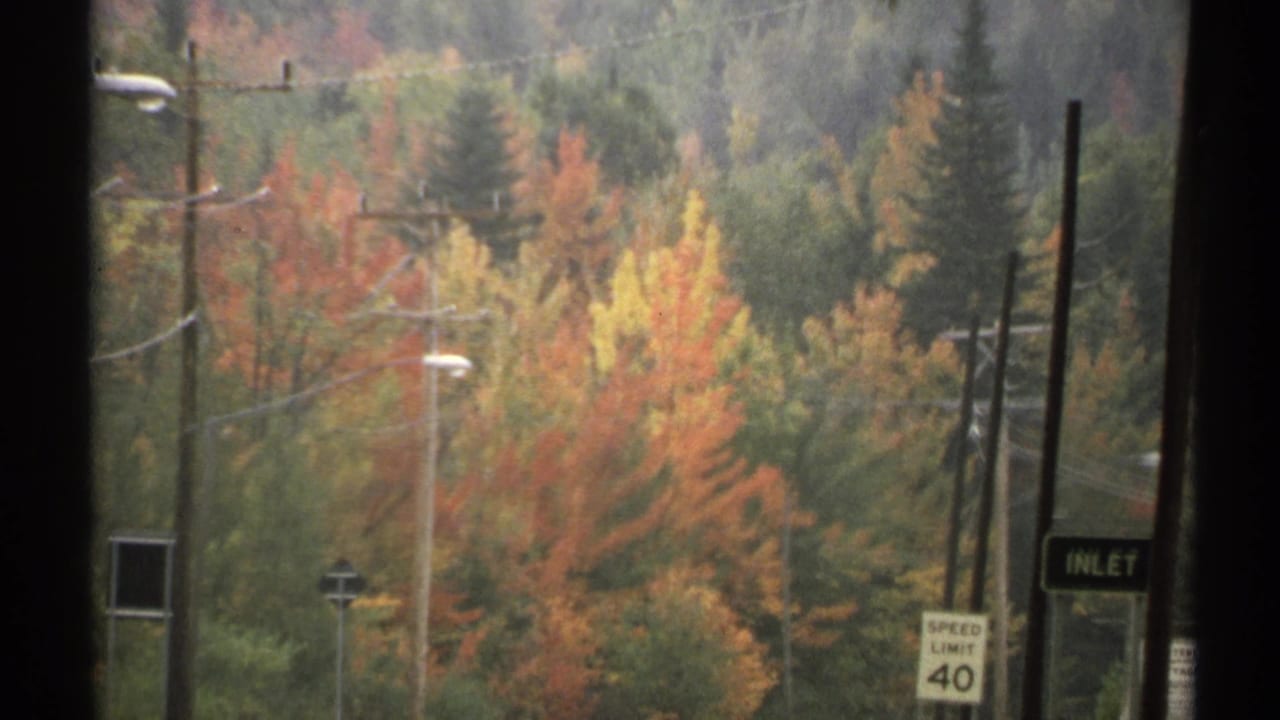 1971 New York roadside scene with red and gold autumn foliage, utility poles, street lamps, and a speed limit 40 sign.