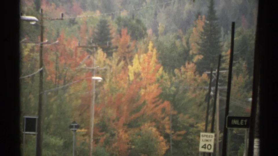 1971 New York roadside scene with red and gold autumn foliage, utility poles, street lamps, and a speed limit 40 sign.