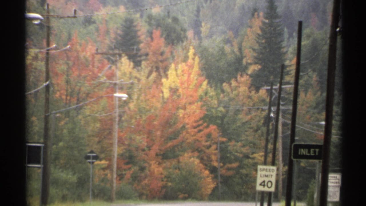 Autumn trees beside a road with utility poles and roadside signs.