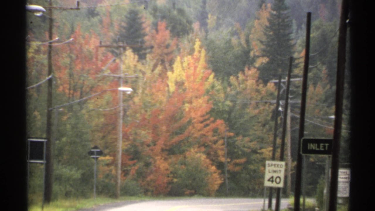1971 New York home-movie frame of a quiet road bordered by autumn foliage, utility poles, and visible traffic signs.
