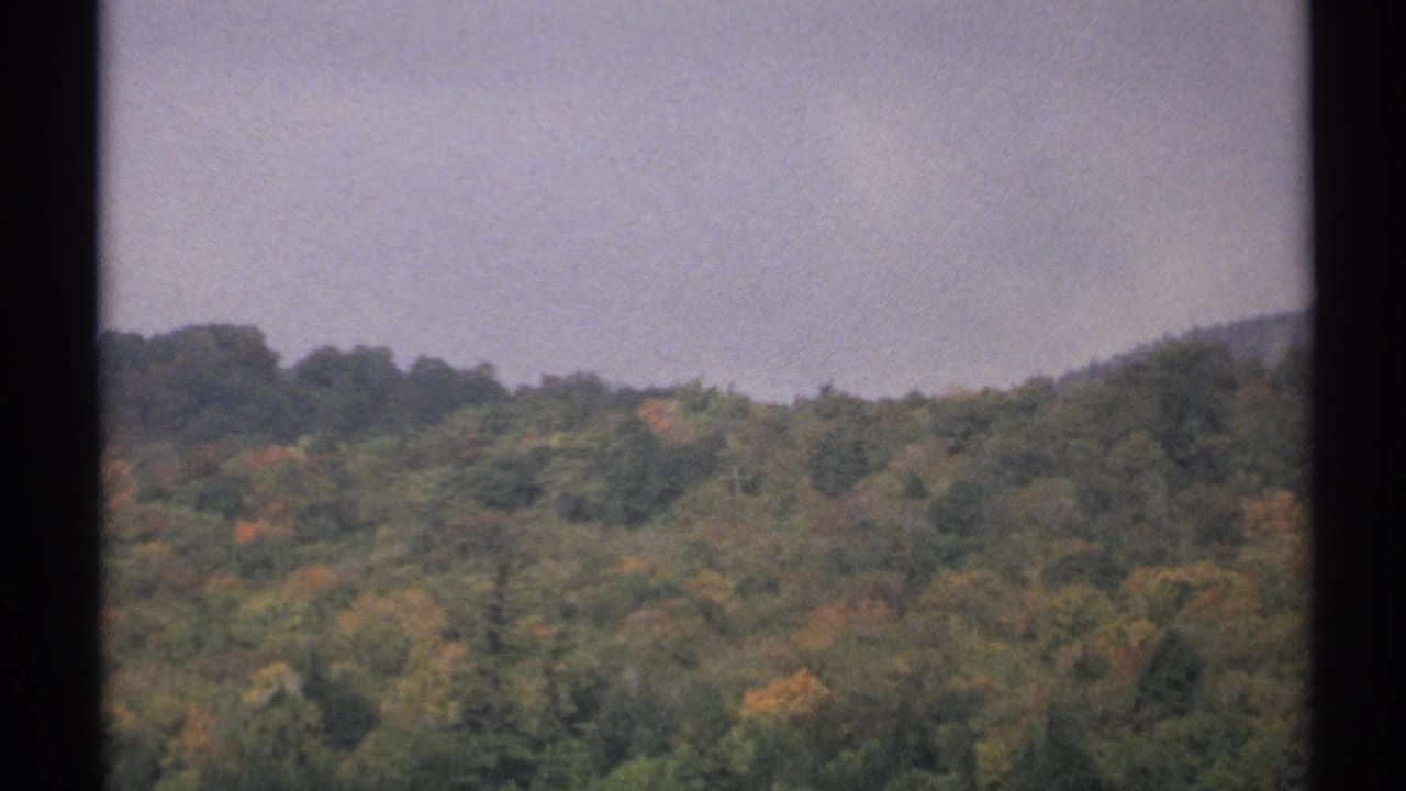 1971 New York 8mm frame showing a wooded hillside with green and muted autumn foliage below a pale sky.