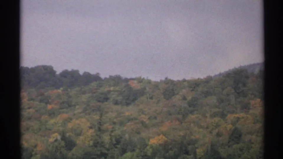 1971 New York 8mm frame showing a wooded hillside with green and muted autumn foliage below a pale sky.