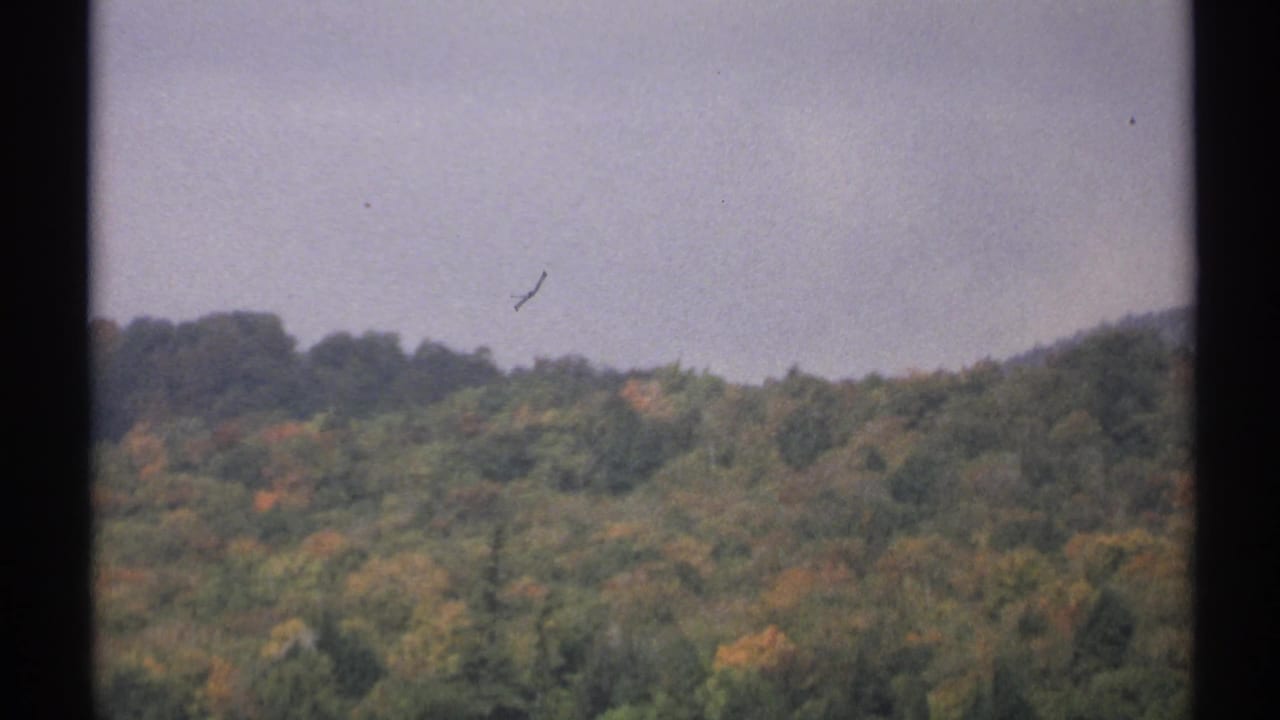 1971 New York 8mm frame of rolling forest with muted autumn color and a hazy sky, seen from a handheld home movie camera.
