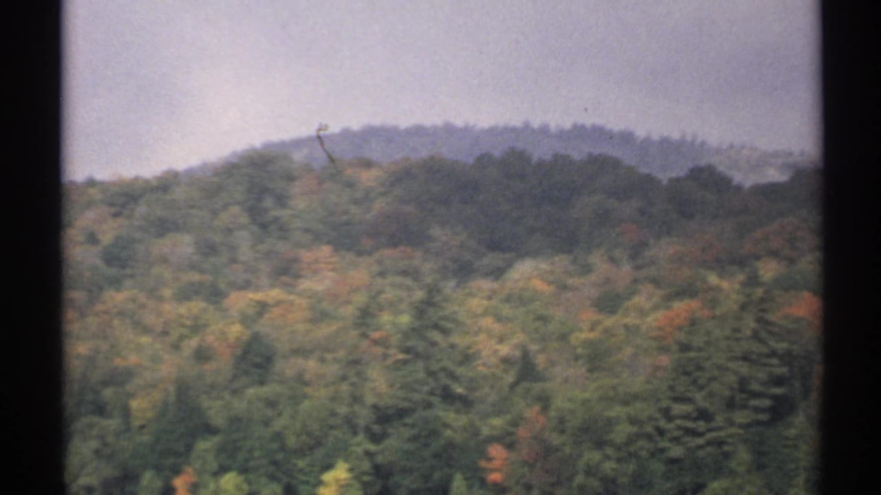 Autumn hillside with mixed trees and a dark vertical film-frame edge.