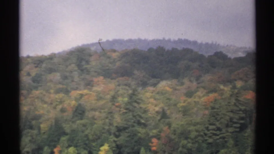 1971 New York 8mm frame of a wooded hillside with muted fall colors, evergreen trees, and a dark frame border at the side.