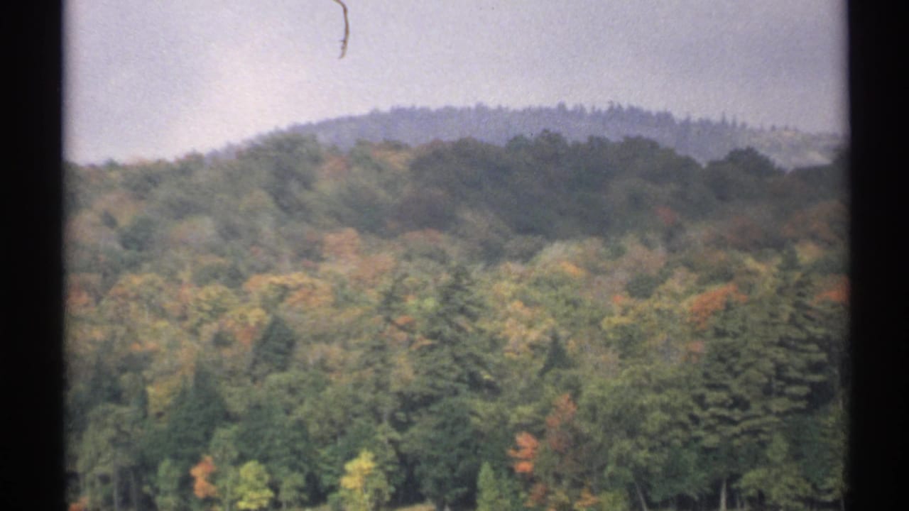 1971 New York 8mm frame showing a soft, grainy view of autumn forest, evergreen tops, and a distant wooded ridge.