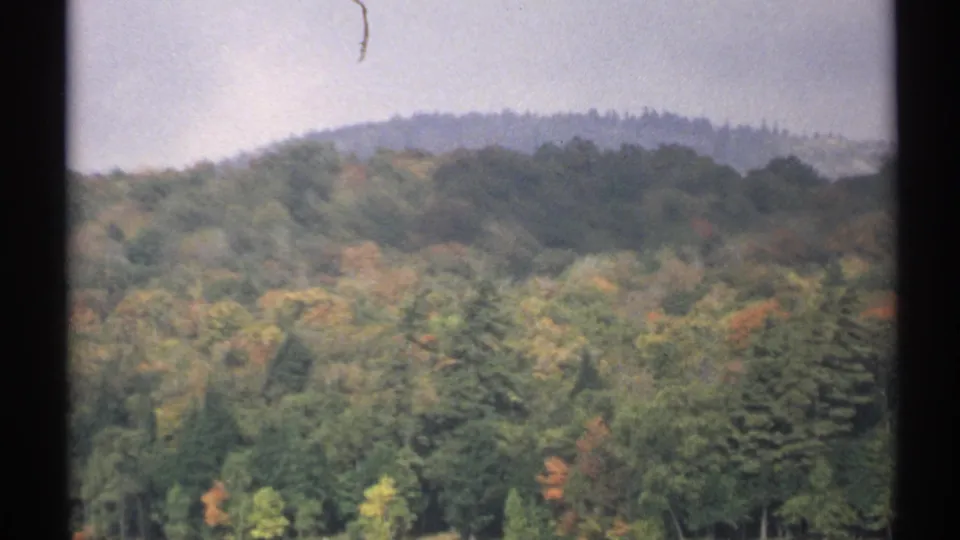 1971 New York 8mm frame showing a soft, grainy view of autumn forest, evergreen tops, and a distant wooded ridge.