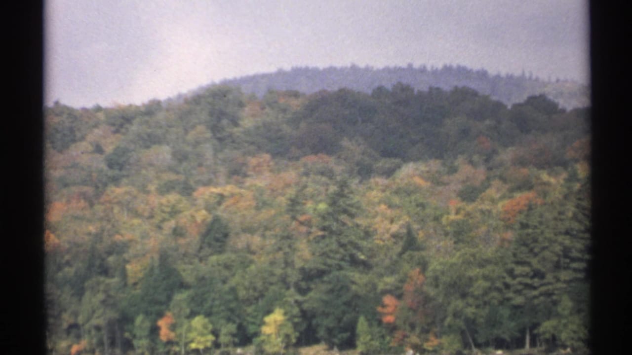 1971 New York 8mm frame with rolling woodland, yellow and brown autumn foliage, dark evergreen trees, and soft distant hills.