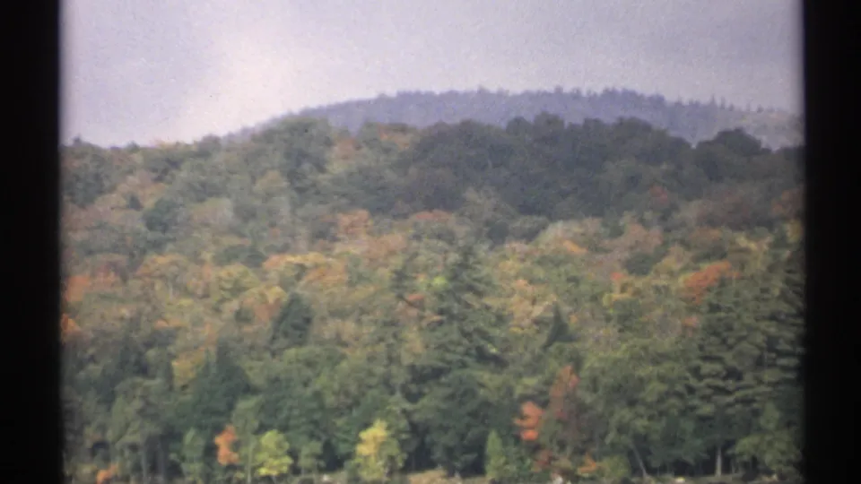 1971 New York 8mm frame with rolling woodland, yellow and brown autumn foliage, dark evergreen trees, and soft distant hills.