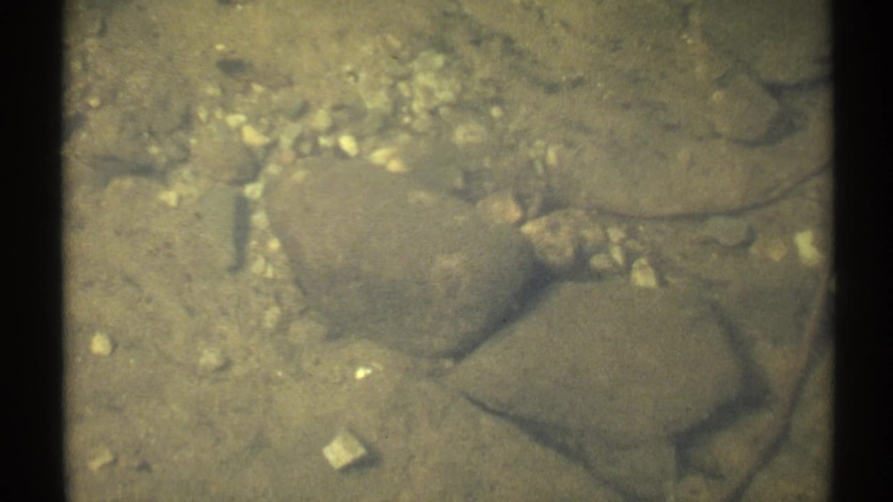 1971 New York home-movie frame showing rounded rocks, pebbles, and sandy lake bed through calm water.