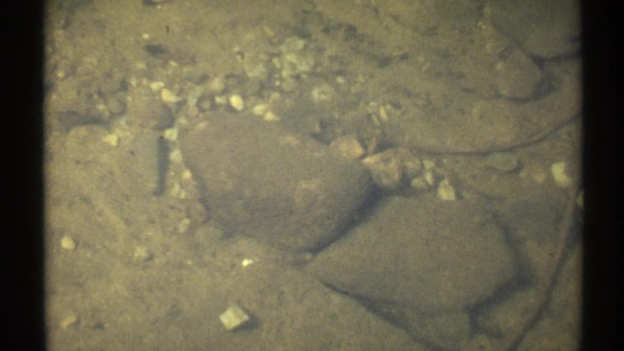 Shallow water with submerged stones and pebbles near the film frame edge.
