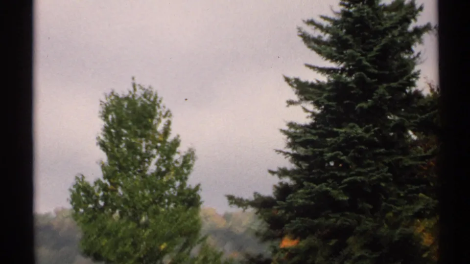 Evergreen and deciduous trees stand under a cloudy sky in 1971 New York home-movie footage.