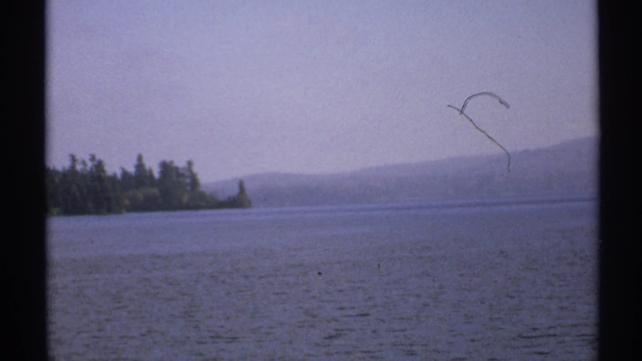 1971 New York 8mm frame of calm lake water and distant wooded shore, with hazy hills and a small dark sky mark or object.