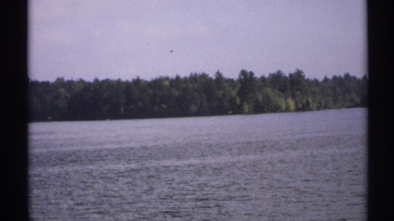1971 New York 8mm frame looking across textured lake water toward a continuous green wooded shoreline under a pale sky.