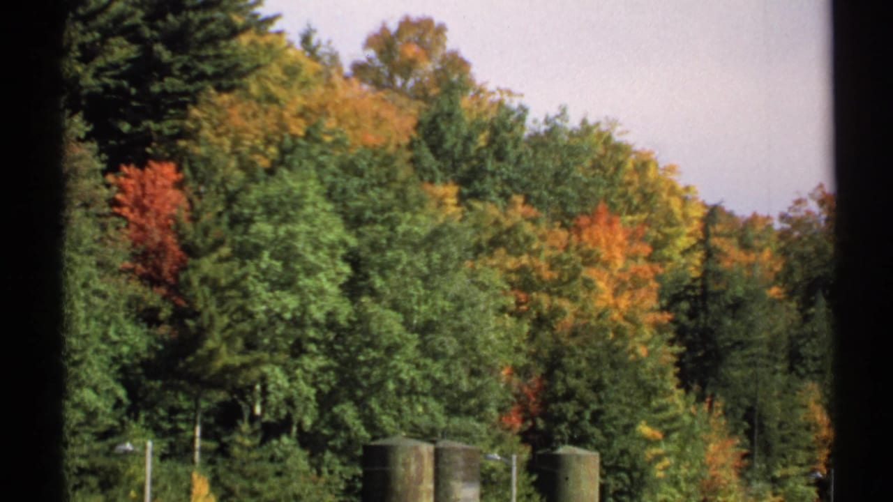 Autumn-colored trees above a lakeside area with dark 8mm frame edges.