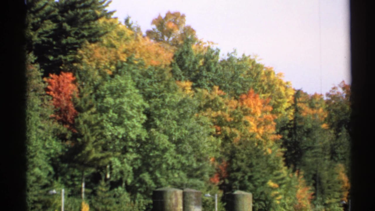 1971 New York 8mm view of mixed woodland in early autumn color, with soft grain and dark film borders visible.