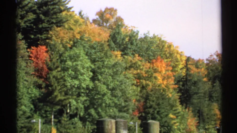 1971 New York 8mm view of mixed woodland in early autumn color, with soft grain and dark film borders visible.