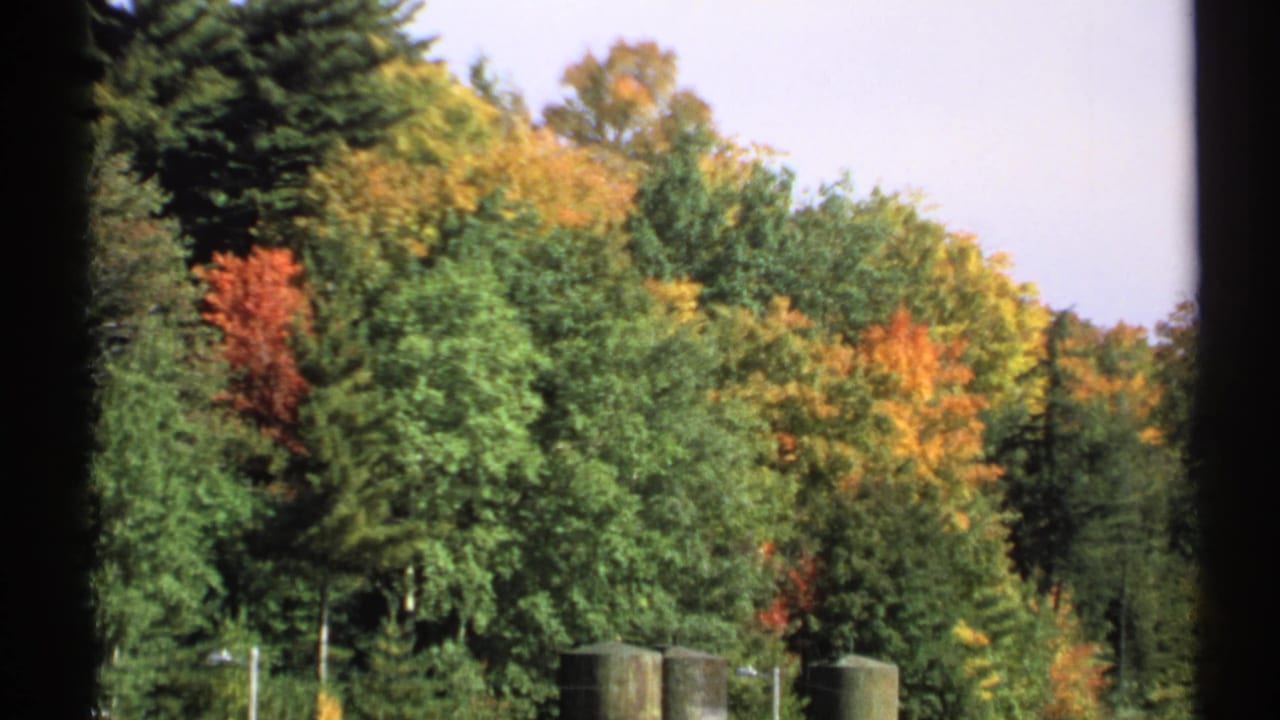 1971 New York 8mm frame focused on dense lakeside trees showing green, yellow, and red autumn foliage.