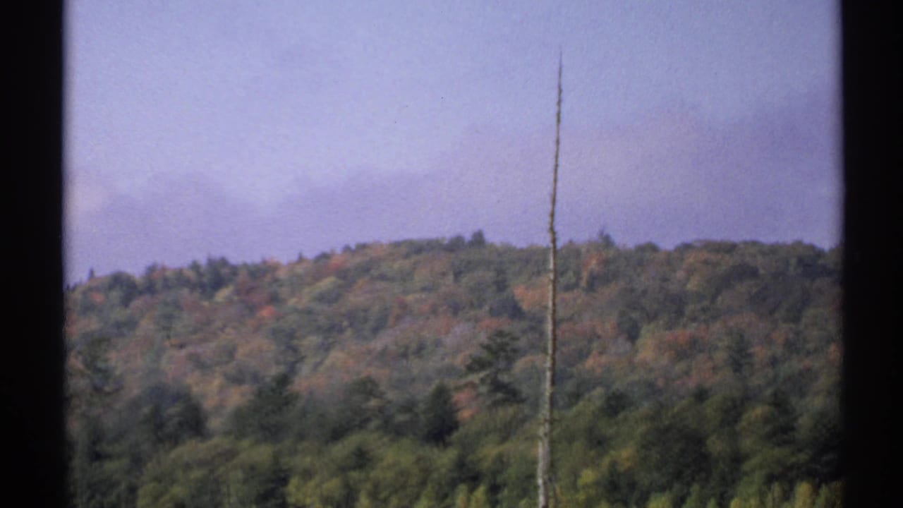 Wooded hills under a hazy sky, viewed through dark vertical window framing with a bare trunk in front.