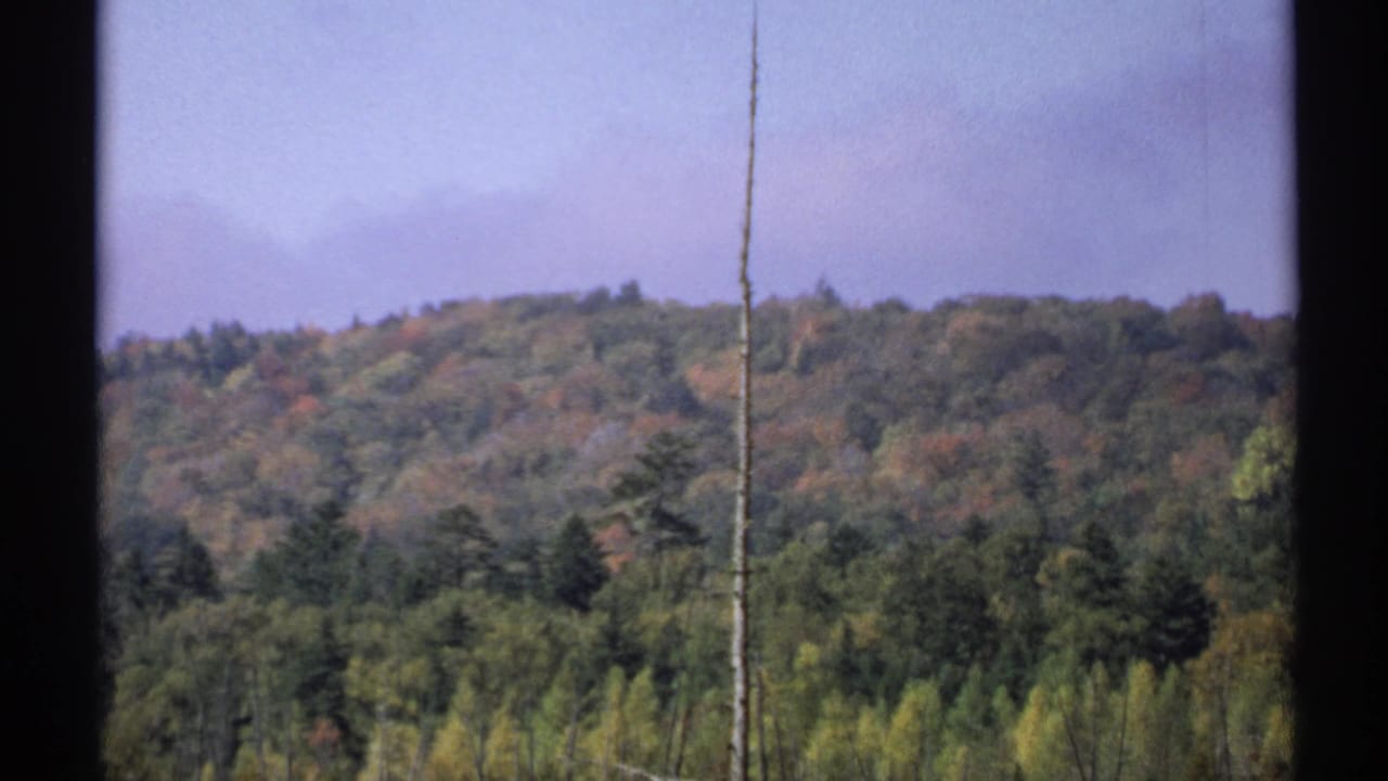 1971 New York 8mm frame showing distant wooded hills, green and autumn-colored treetops, pale sky, and a bare trunk in front.